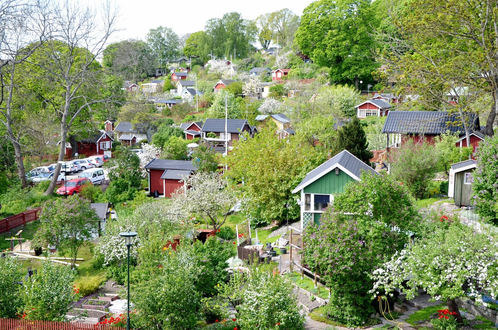 Kolonilotter i tanto